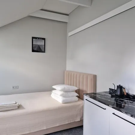 Cozy, Comfortable And Stylish 维尔纽斯